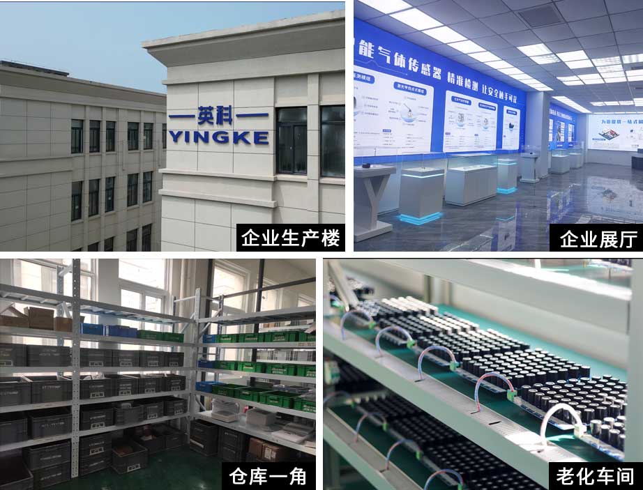公司概述